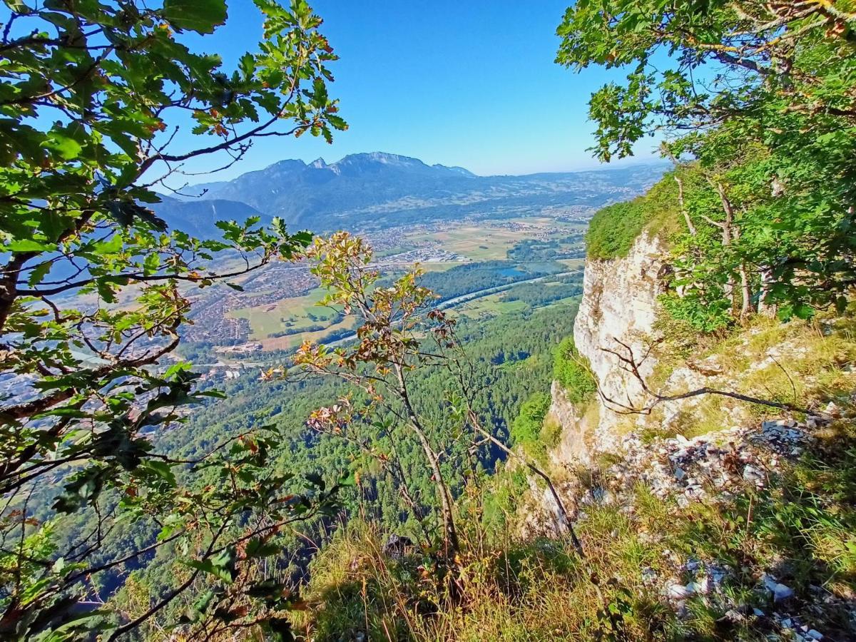 Le Calme A 5 Mn Du Centre Ville - La Lisiere T2 Бонвиль Экстерьер фото